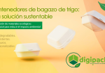 Contenedores de bagazo de trigo: una solución sustentable